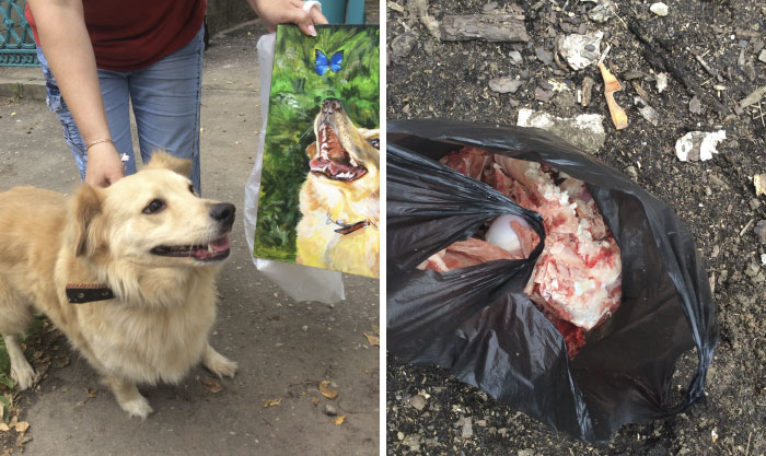 This 9-Year-Old Russian Boy ‘Sells’ His Custom Pet Paintings For Food And Supplies For Shelter Animals This 9-Year-Old Russian Boy ‘Sells’ His Custom Pet Paintings For Food And Supplies For Shelter Animals