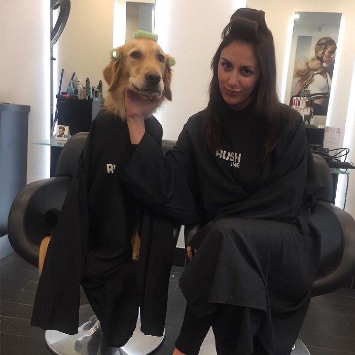 Pet-Dog-Funny-Photography-Soulmates-Hugo-Huxley-Ursula-Aitchinson