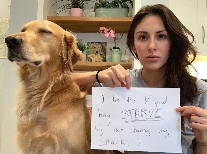 Pet-Dog-Funny-Photography-Soulmates-Hugo-Huxley-Ursula-Aitchinson