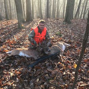 tristinhursey avatar