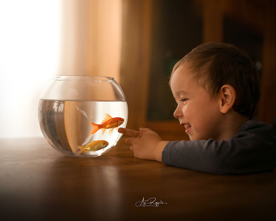 In Only 3 Years A Proffesional Photographer