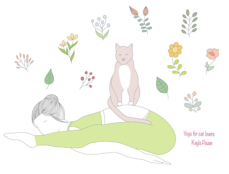 The Cat And The Tortoise