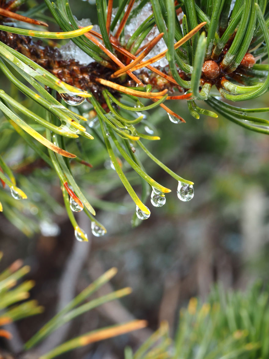 First Winter Hike This Season