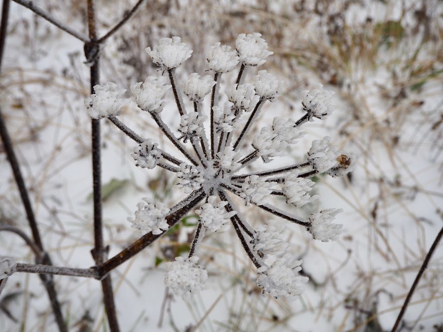 First Winter Hike This Season