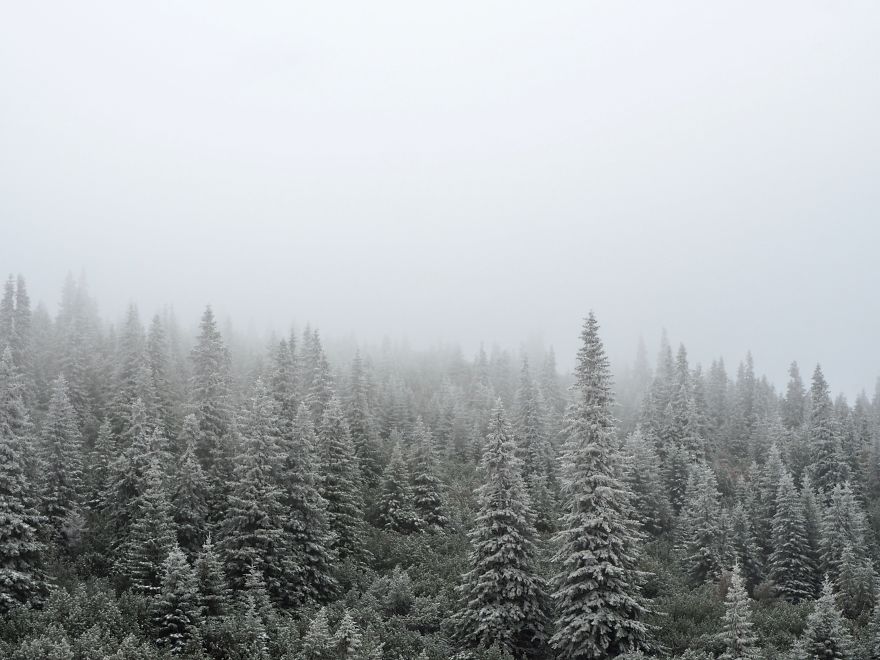 First Winter Hike This Season