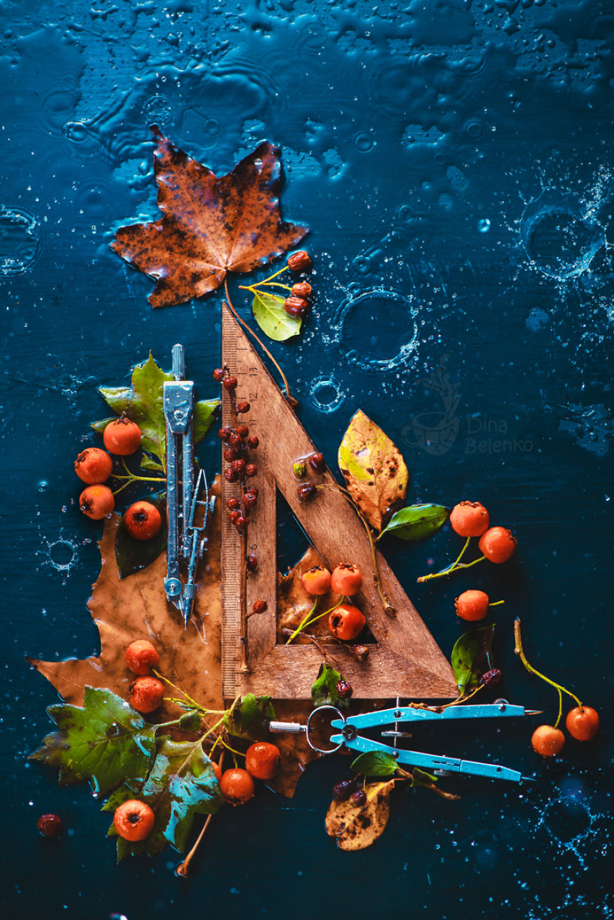 I Capture Beautyof Auumn In Still Life Images