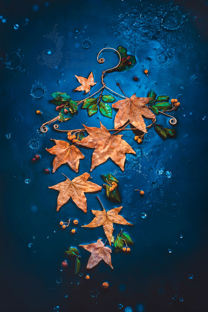 I Capture Beautyof Auumn In Still Life Images