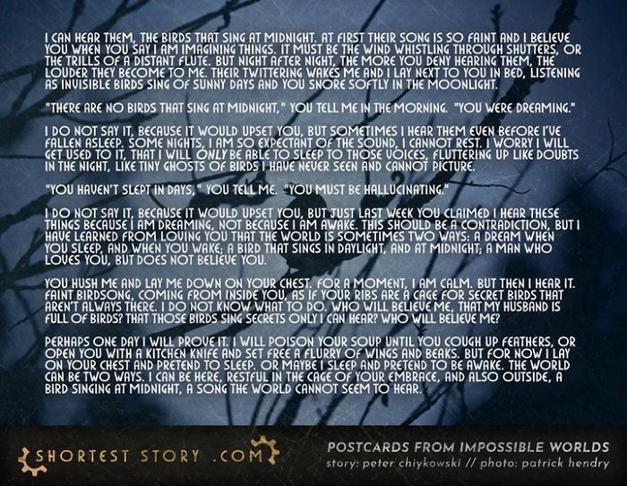 Micro-Short-Stories-Peter-Chiykowski