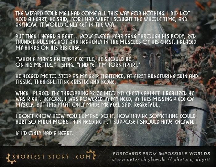 Micro-Short-Stories-Peter-Chiykowski