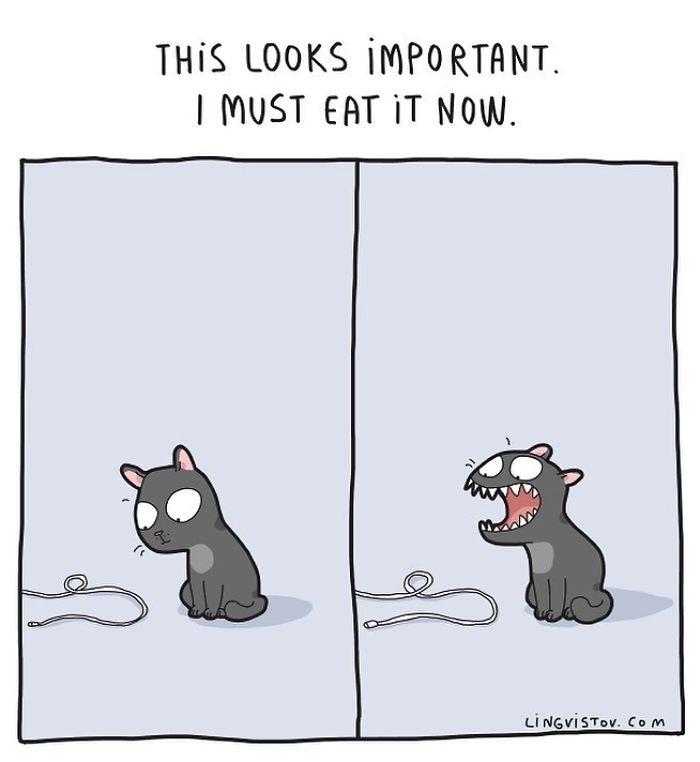 Lingvistov Cat Comics