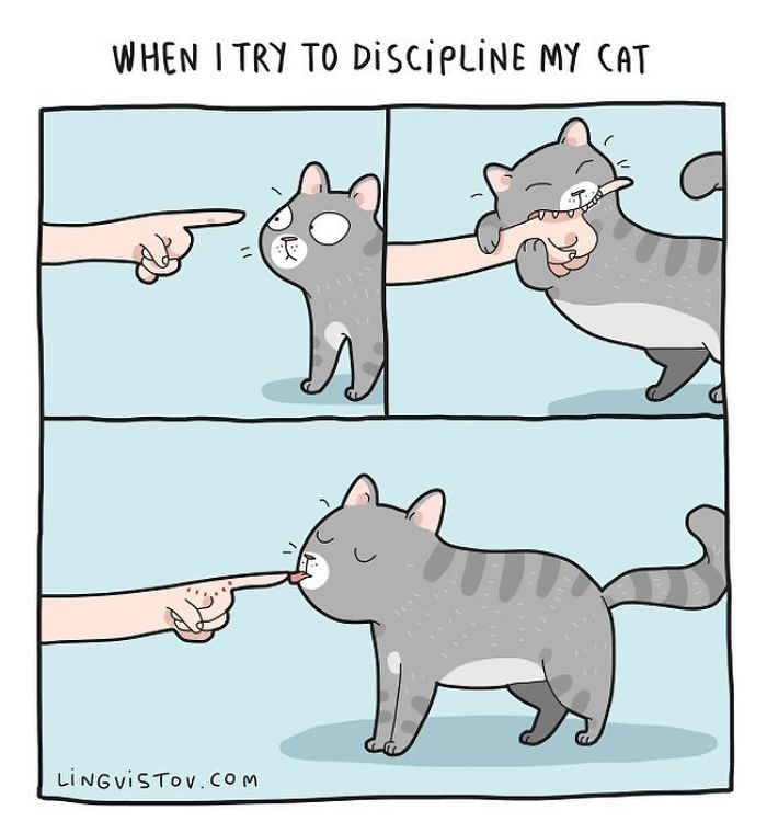 Lingvistov Cat Comics
