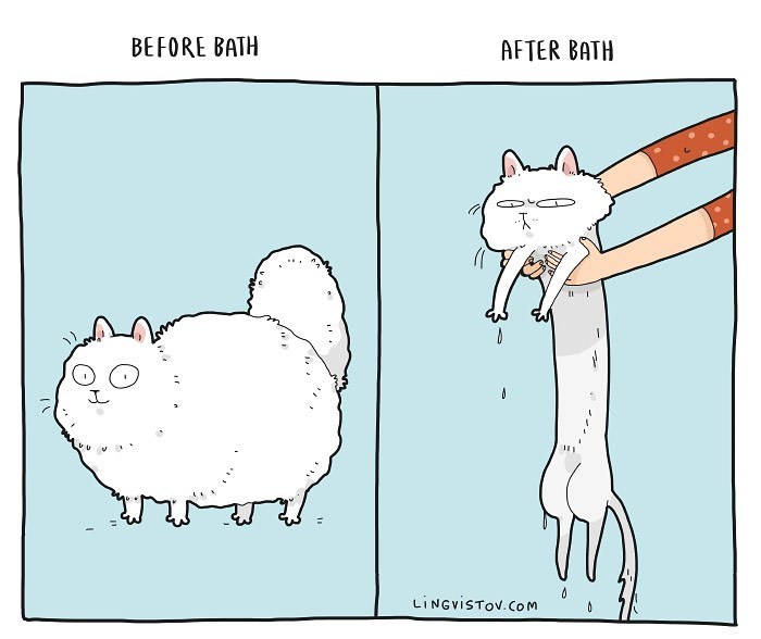 Lingvistov Cat Comics