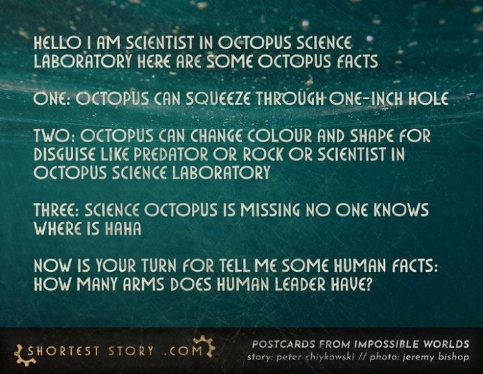 Micro-Short-Stories-Peter-Chiykowski