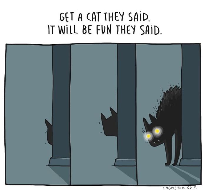 Lingvistov Cat Comics