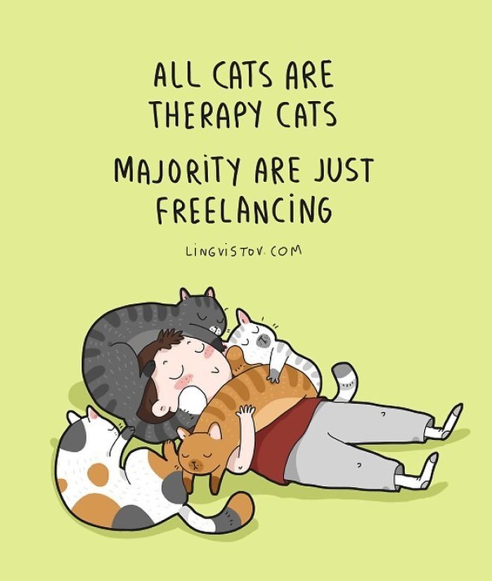 Lingvistov Cat Comics