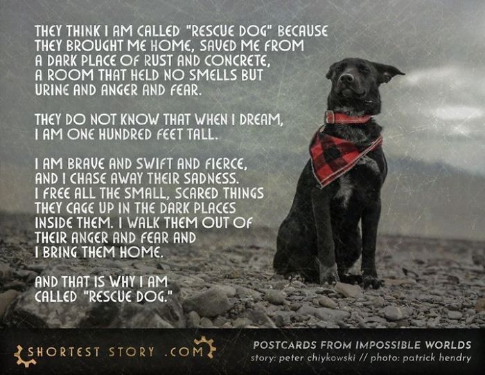 Micro-Short-Stories-Peter-Chiykowski