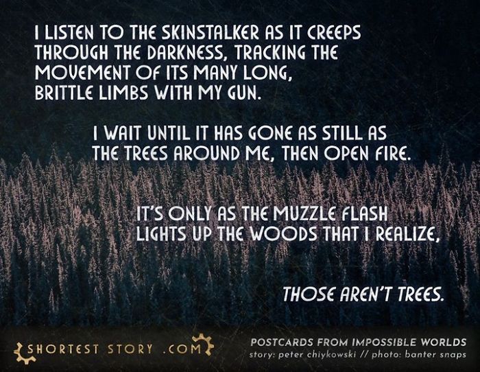 Micro-Short-Stories-Peter-Chiykowski