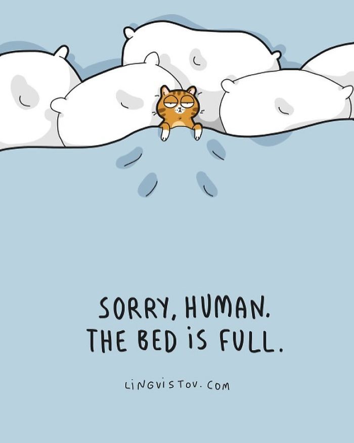 Lingvistov Cat Comics