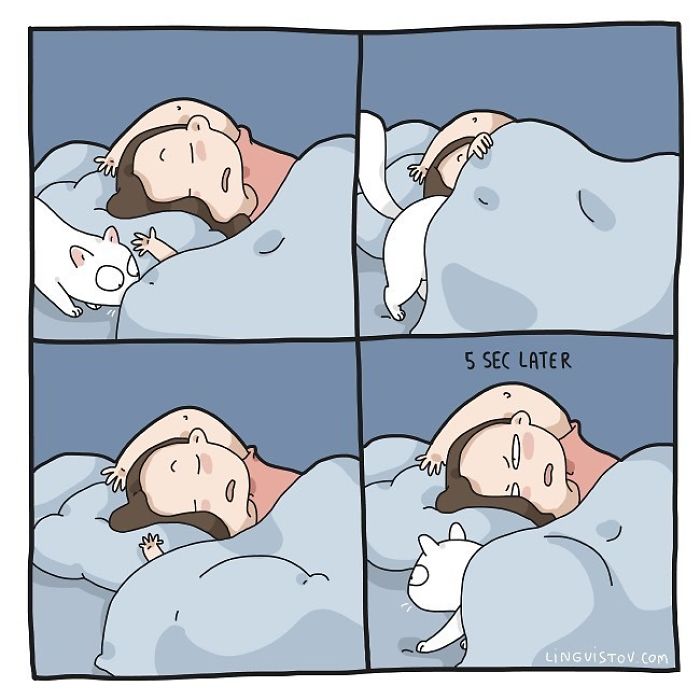 Lingvistov Cat Comics