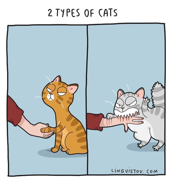 Lingvistov Cat Comics