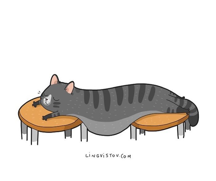 Lingvistov Cat Comics