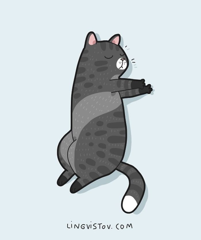 Lingvistov Cat Comics