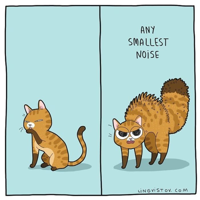 Lingvistov Cat Comics