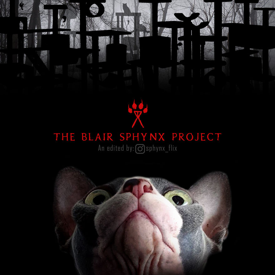 The Blair Witch Project