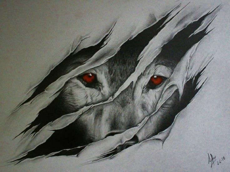 Wolf Drawings, Speant Like 16 Hours On Them All Together