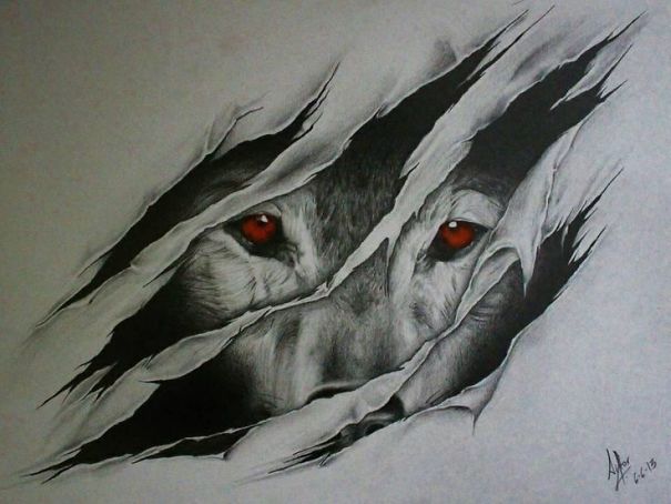 Wolf Drawings, Speant Like 16 Hours On Them All Together