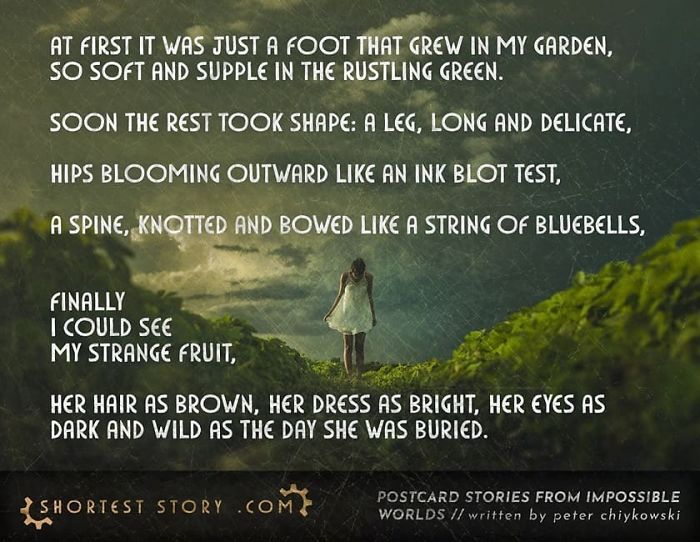 Micro-Short-Stories-Peter-Chiykowski