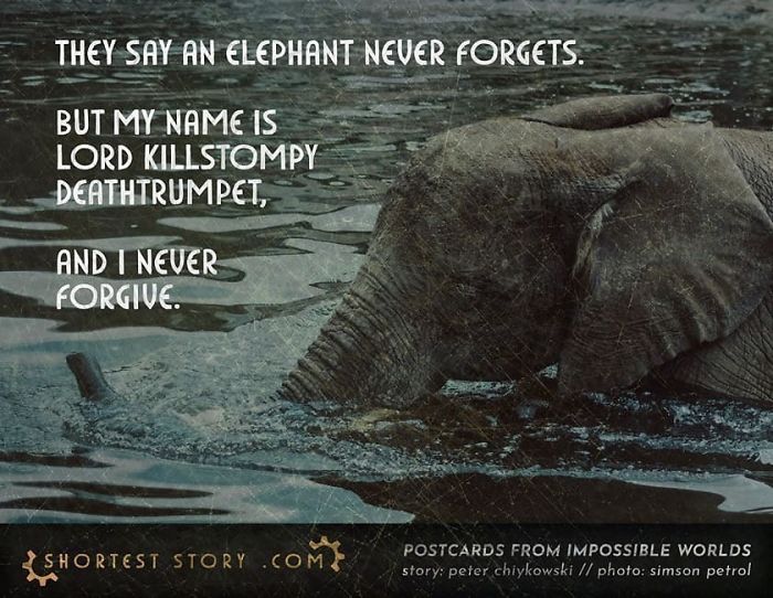 Micro-Short-Stories-Peter-Chiykowski