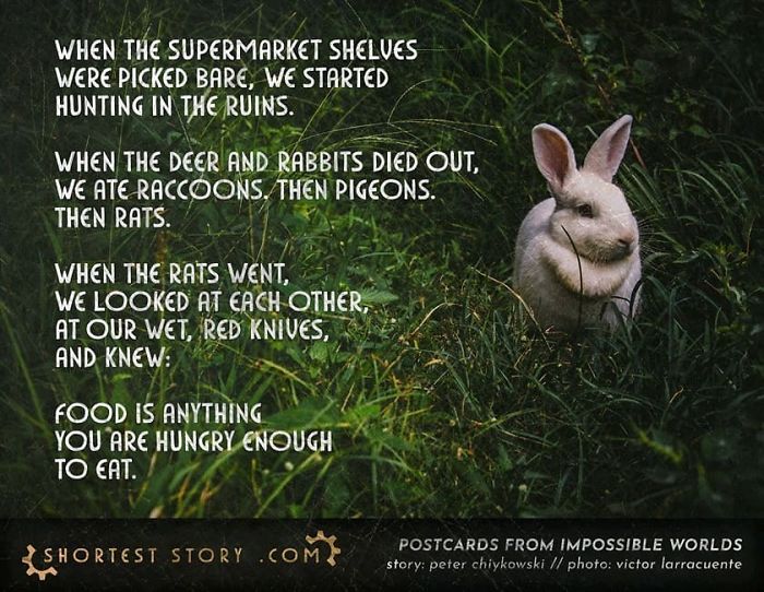 Micro-Short-Stories-Peter-Chiykowski