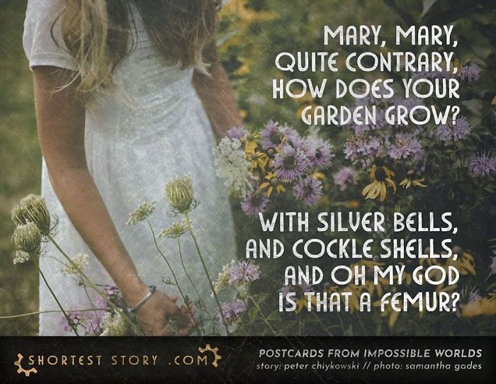 Micro-Short-Stories-Peter-Chiykowski