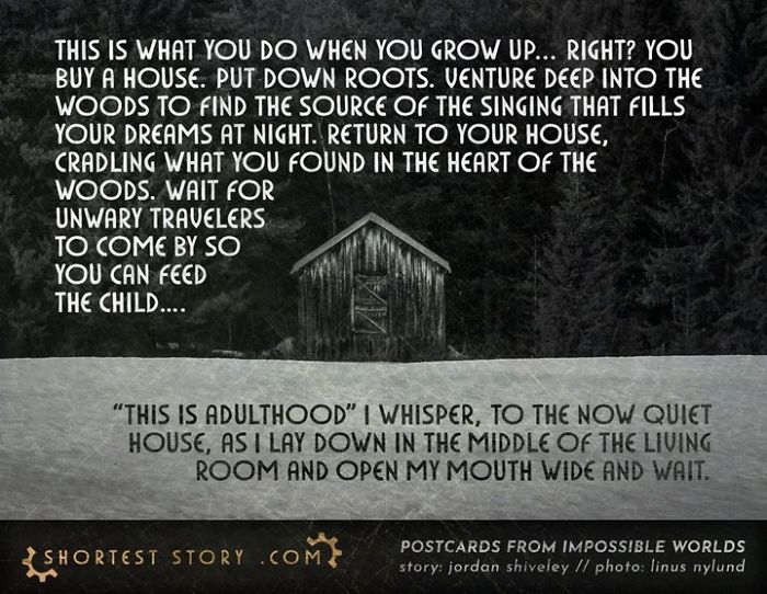 Micro-Short-Stories-Peter-Chiykowski