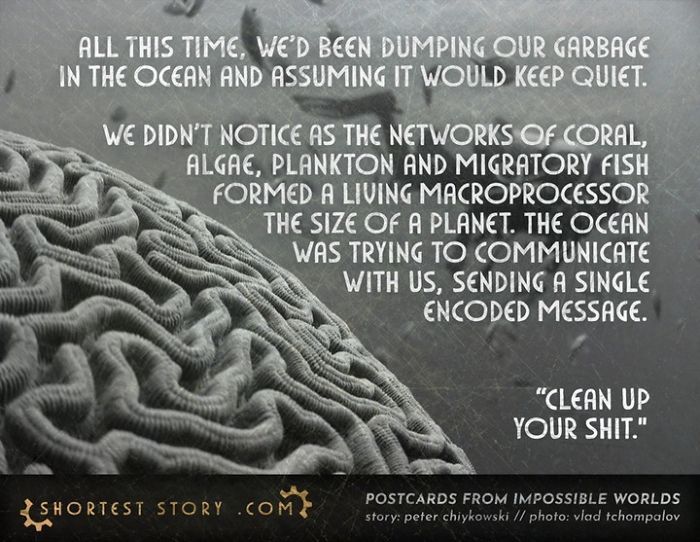 Micro-Short-Stories-Peter-Chiykowski