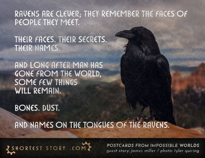 Micro-Short-Stories-Peter-Chiykowski