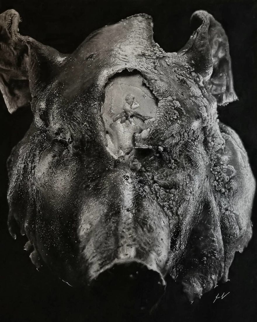 Part II - A Feast, 2018