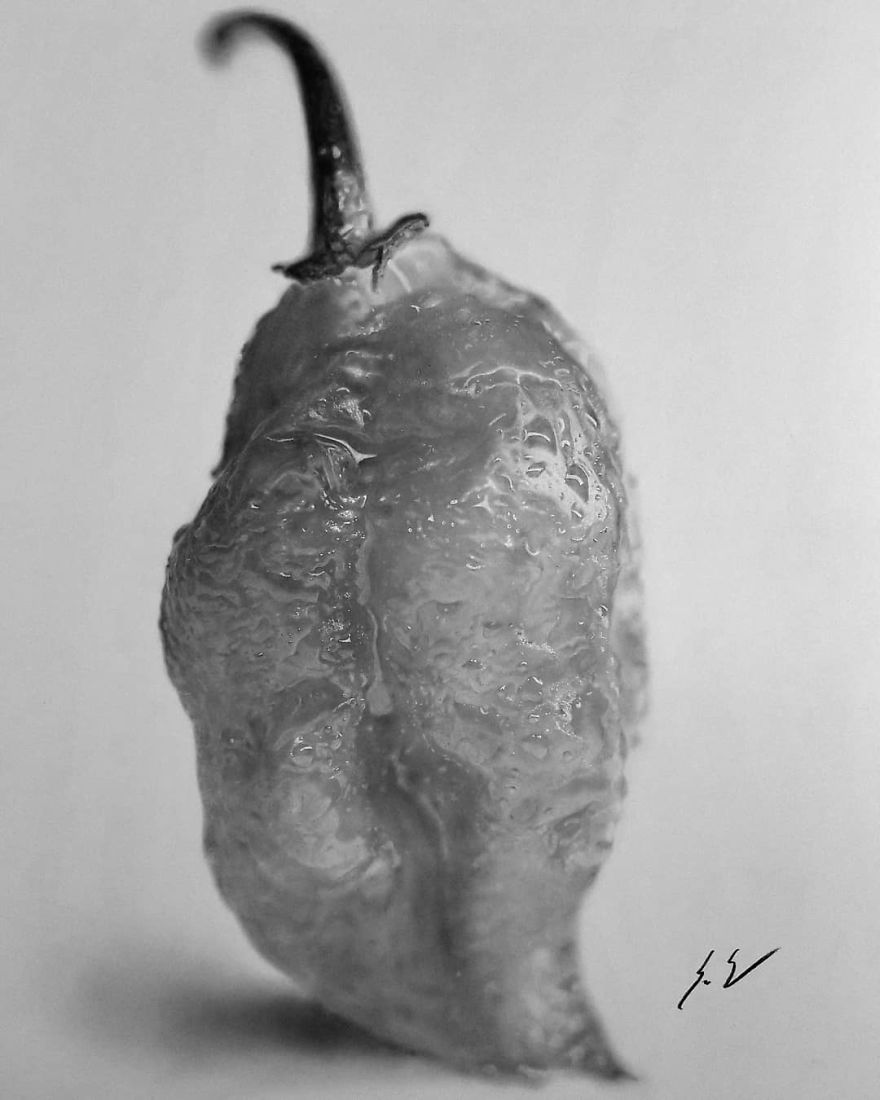 How To Preserve A Ghost Pepper, 2018