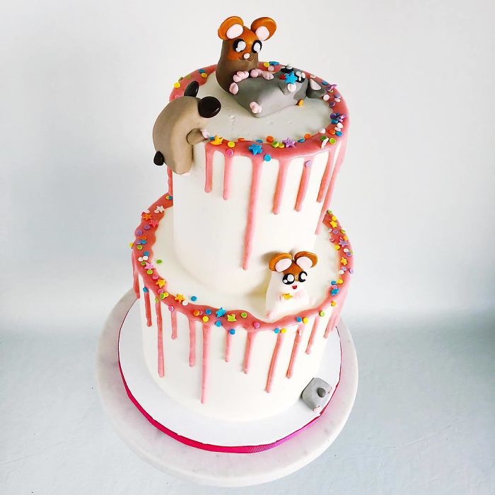 Cakes-Design-Kake-Darci