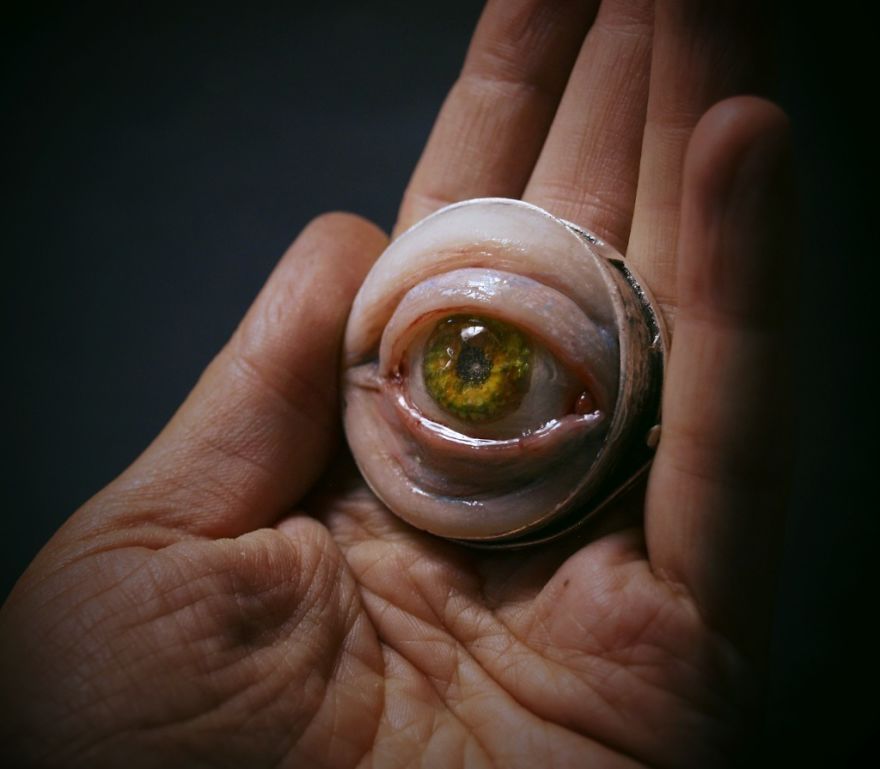 I Make Jewelry That Looks Like Real Monsters Living With You