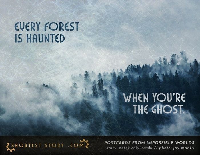 Micro-Short-Stories-Peter-Chiykowski