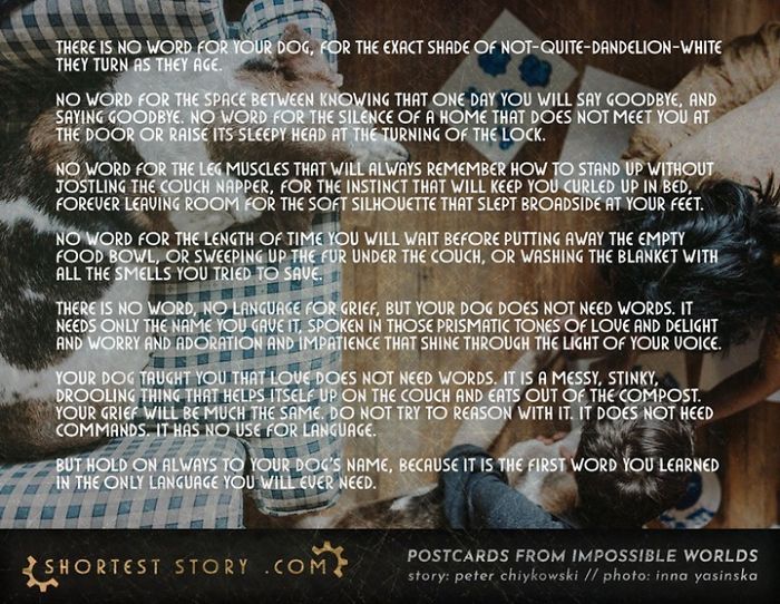 Micro-Short-Stories-Peter-Chiykowski