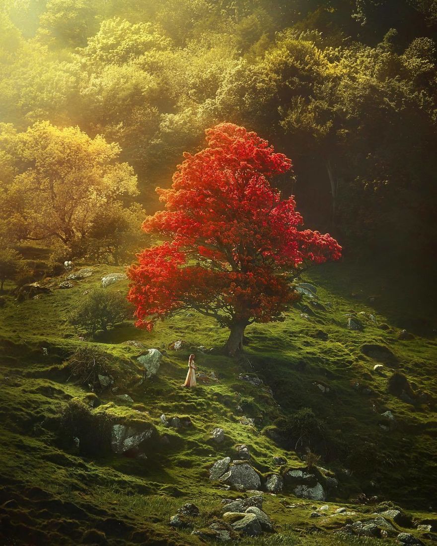 Couple Do Photo Shoots That Look More Like A Fairy Tale Book