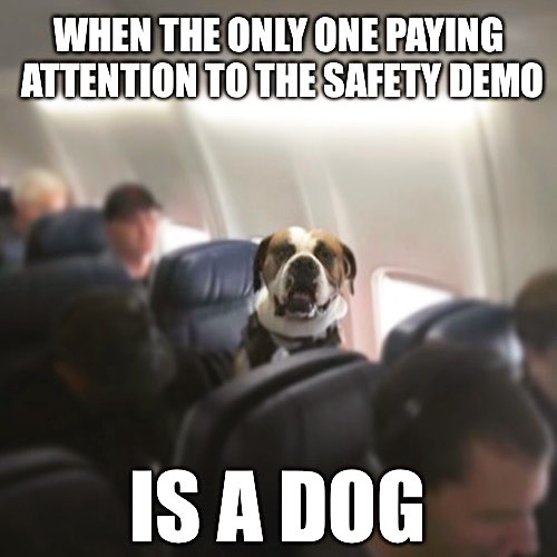 Funny-Travel-Airport-Memes