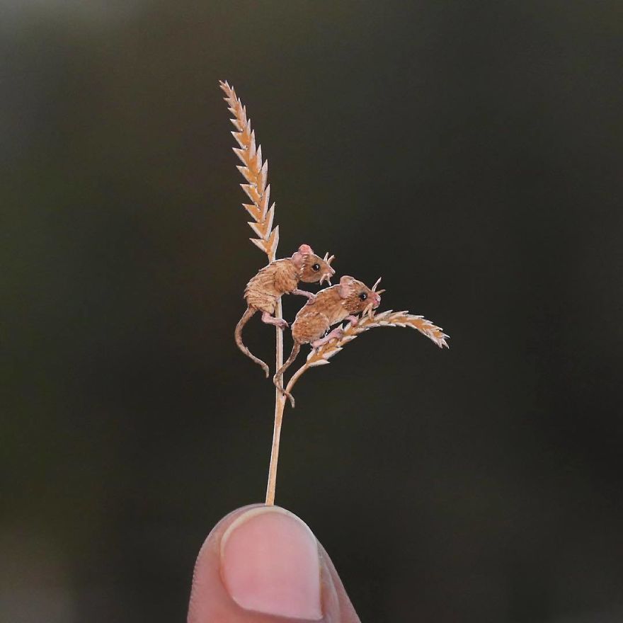 We’ve Been Creating Miniature Paper Birds And Animals Every Day Since 1st January 2018