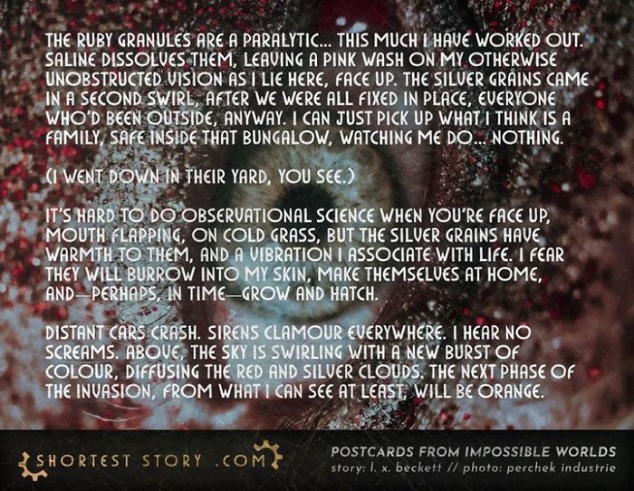 Micro-Short-Stories-Peter-Chiykowski