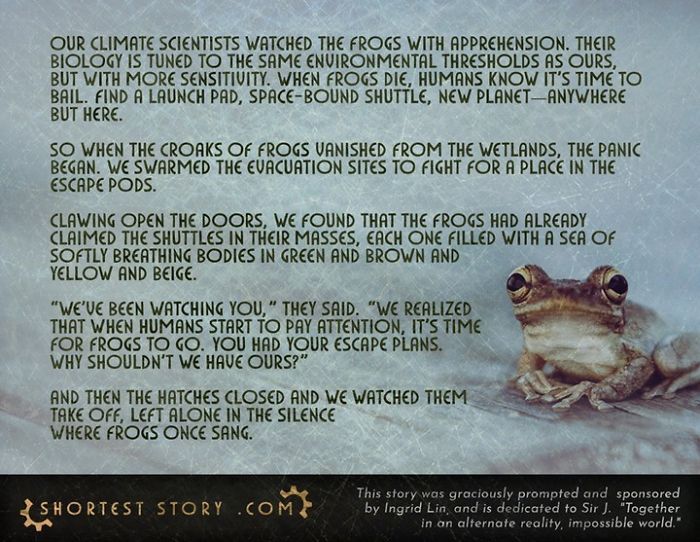 Micro-Short-Stories-Peter-Chiykowski