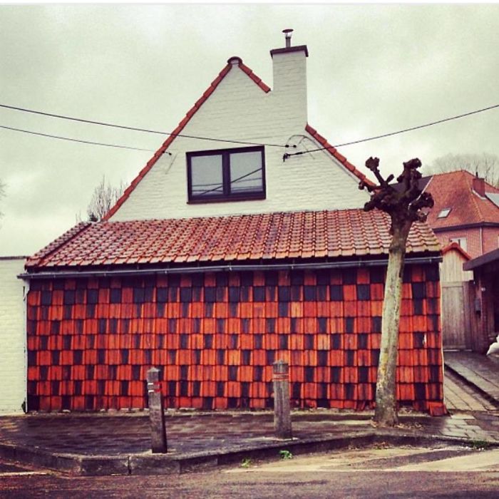 The Roof, The Roof, The Roof Is Expired