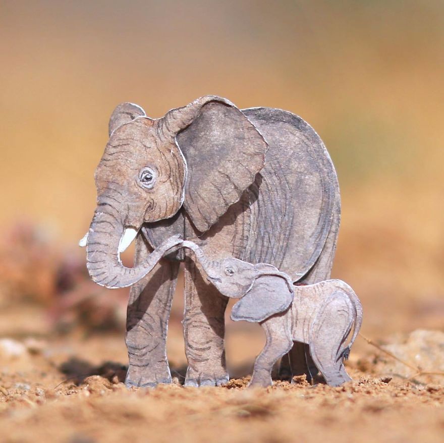 We’ve Been Creating Miniature Paper Birds And Animals Every Day Since 1st January 2018